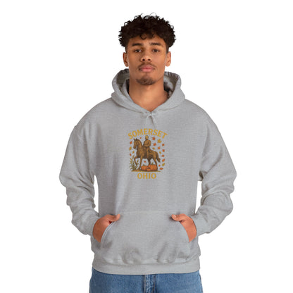 Unisex Heavy Blend™ Somerset OH Hooded Sweatshirt