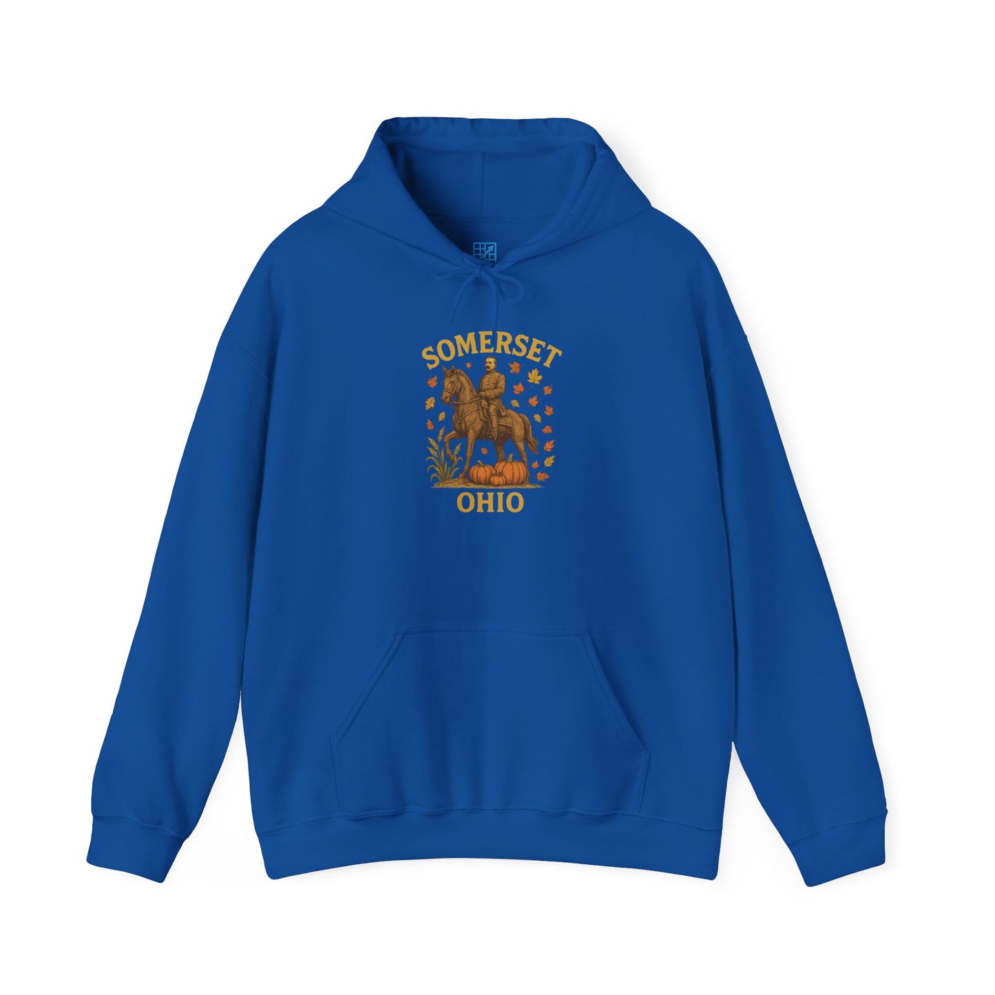 Unisex Heavy Blend™ Somerset OH Hooded Sweatshirt