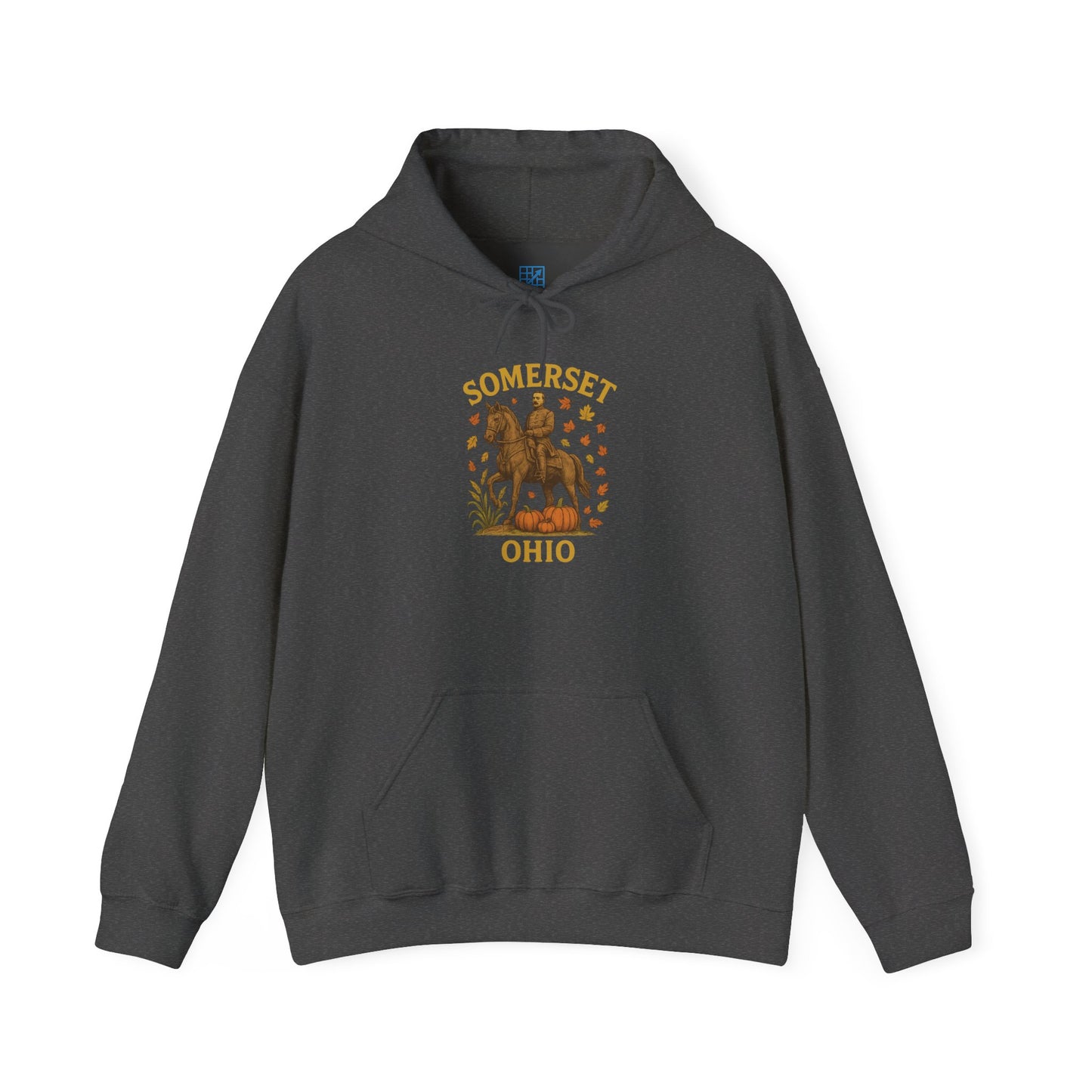 Unisex Heavy Blend™ Somerset OH Hooded Sweatshirt